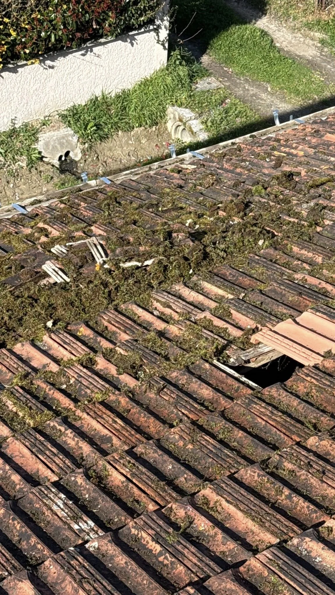 nettoyage toiture pose gouttière Points Inard 31